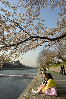 Girls sitting on banks of Kamogawa river watching cherry blossoms Girls sitting on banks of Kamogawa river watching cherry blossoms
