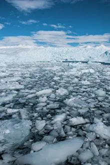 Glacier and icebergs in Cierva Cove, Antarctica, Polar Regions Glacier and icebergs in Cierva Cove, Antarctica, Polar Regions