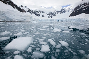 Glacier, Paradise Bay, Antarctic Peninsula, Antarctica, Polar Regions Glacier, Paradise Bay, Antarctic Peninsula, Antarctica, Polar Regions