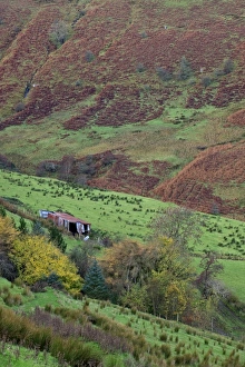 Glenballyemon, County Antrim, Ulster, Northern Ireland, United Kingdom, Europe Glenballyemon, County Antrim, Ulster, Northern Ireland, United Kingdom, Europe