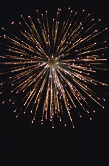 Golden Rain Firework Display Print