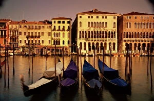 Grand Canal Gallery: Gondolas and houses