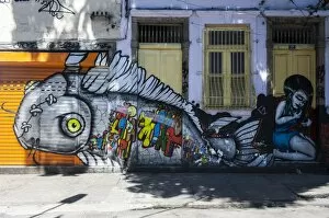Images Dated 26th February 2011: Graffiti art work on houses in Lapa, Rio de Janeiro, Brazil, South America