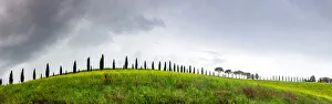 Green landscape with cypress trees and rolling hills, Tuscany, Italy, Europe Green landscape with cypress trees and rolling hills, Tuscany, Italy, Europe