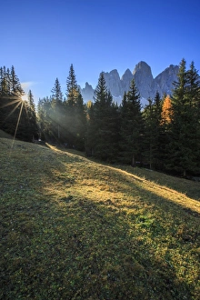 Green meadows and colorful woods in autumn frame the Odle, Malga Zannes, Funes Valley Green meadows and colorful woods in autumn frame the Odle, Malga Zannes, Funes Valley