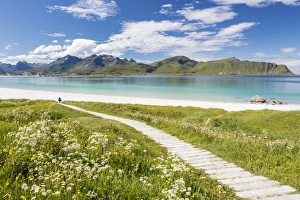 Green meadows and flowers surrounded by turquoise sea and fine sand, Ramberg Green meadows and flowers surrounded by turquoise sea and fine sand, Ramberg