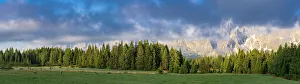 Green woods and pastures of Malga Nemes at sunrise in summer, Sesto (Sexten) Green woods and pastures of Malga Nemes at sunrise in summer, Sesto (Sexten)