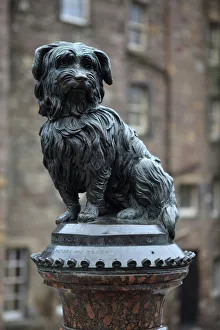 Greyfriars Bobby Print: Edinburgh's Faithful Companion