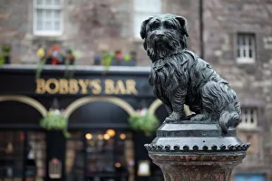 Sculpture Gallery: Greyfriars Bobby, Edinburgh, Scotland, United Kingdom, Europe