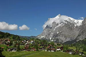 Meadow Gallery: Grindelwald and Wetterhorn, Bernese Oberland, Swiss Alps, Switzerland, Europe
