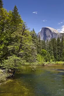Images Dated 7th June 2011: Half Dome granite monolith, Merced River, Yosemite Valley, Yosemite National Park