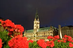 City Hall Gallery: Hamburg City Hall in the Altstadt (Old Town)