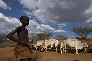 Hamer boy attending at bull jumping ceremony near Turmi, Omo region, Ethiopia, Africa Hamer boy attending at bull jumping ceremony near Turmi, Omo region, Ethiopia, Africa