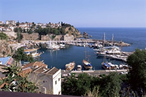 The harbour