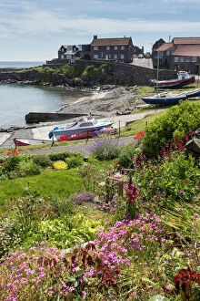 Northumberland Gallery: Harbour with boats and village centre, garden and flowers, blue sky on a sunny summer day