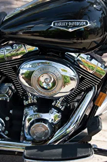 Harley-Davidson Prints: Harley Davidson Print, Key West Florida