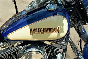 Harley-Davidson Prints: Harley Davidson Motorcycle Print