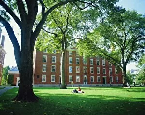 College Gallery: Harvard University