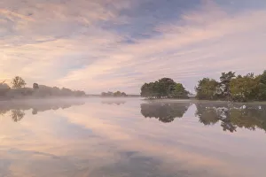 Hatchet Pond reflecting a beautiful pink misty sunrise, Beaulieu, New Forest, England Hatchet Pond reflecting a beautiful pink misty sunrise, Beaulieu, New Forest, England