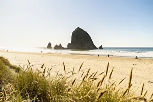 Haystack Rock and The Needles, with Gynerium spikes in the foreground, Cannon Beach Haystack Rock and The Needles, with Gynerium spikes in the foreground, Cannon Beach