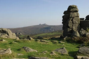 National Parks Gallery: Haytor Rocks seen from Hound Tor, Dartmoor National Park, Devon, England