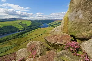 Images Dated 22nd August 2008: Heather moorland above Ladybower Reservoir, Whinstone Lee Tor, Derwent Edge