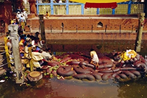 Hindus praying and giving offerings to a giant statue of Vishnu Hindus praying and giving offerings to a giant statue of Vishnu