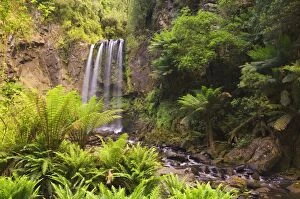 Great Otway National Park Gallery: Hopetoun Falls, Great Otway National Park, Victoria, Australia, Pacific