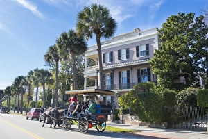 Horse cart before a colonial house, Charleston, South Carolina, United States of America Horse cart before a colonial house, Charleston, South Carolina, United States of America