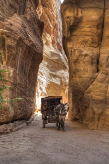 Horsecart in the Siq, Petra, UNESCO World Heritage Site, Jordan, Middle East Horsecart in the Siq, Petra, UNESCO World Heritage Site, Jordan, Middle East