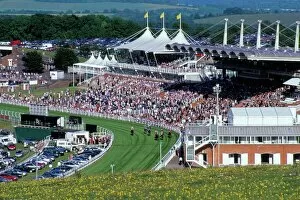 Sussex Collection: Horses racing and crowds, Goodwood Racecourse, West Sussex, England, United Kingdom