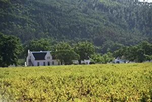 Images Dated 9th August 2008: House in the wine growing area of Franschhoek