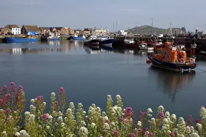 Howth harbour, County Dublin, Republic of Ireland, Europe Howth harbour, County Dublin, Republic of Ireland, Europe