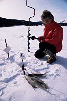 Young Woman Collection: Ice fishing
