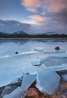 Images Dated 16th January 2011: Ice sheets in severe winter weather on Loch Morlich, at daybreak