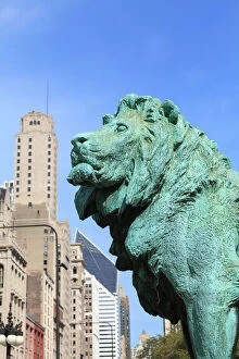 Images Dated 25th September 2012: One of the two iconic bronze lion statues outside the Art Institute of Chicago, Chicago, Illinois