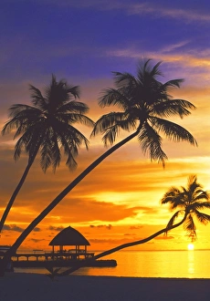 Maldives Gallery: image_43