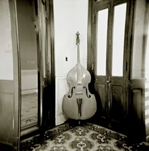 Image taken with a Holga medium format 120 film toy camera of double bass resting against wall inside Palacio de Valle Image taken with a Holga medium format 120 film toy camera of double bass resting against wall inside Palacio de Valle