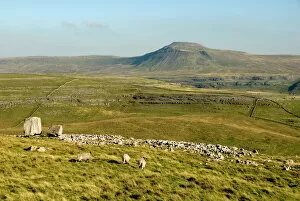 Ingleborough, seen beyond the Cheese Press Stone above Kingsdale, Yorkshire Dales, Yorkshire, England, United Kingdom