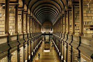 Universities Gallery: Interior of the Library