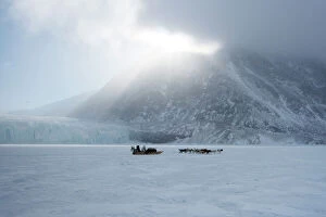 Two People Gallery: Inuit hunter and his dog team travelling on the sea ice, Greenland, Denmark, Polar
