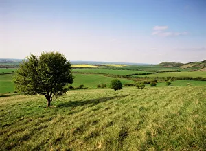 Ivinghoe Beacon from the Ridgeway Path, Chiltern Hills, Buckinghamshire Ivinghoe Beacon from the Ridgeway Path, Chiltern Hills, Buckinghamshire