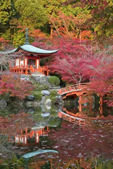 Images Dated 21st November 2014: Japanese temple garden in autumn, Daigoji Temple, Kyoto, Japan, Asia