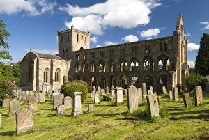 Jedburgh Abbey, Jedburgh, Scotland, United Kingdom, Europe Jedburgh Abbey, Jedburgh, Scotland, United Kingdom, Europe