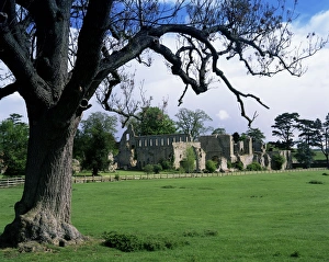 North Yorkshire Gallery: 
