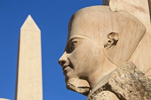 Luxor Gallery: Karnak Temple, UNESCO World Heritage Site, near Luxor, Egypt, North Africa, Africa