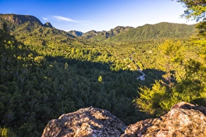 Kauaeranga Valley, Coromandel Forest Park, Coromandel Peninsula, North Island, New Zealand Kauaeranga Valley, Coromandel Forest Park, Coromandel Peninsula, North Island, New Zealand