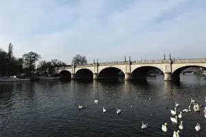 Prints of Kingston Bridge spans the River Thames at Kingston-upon-Thames, a suburb of London, England, United Kingdom, Europe River Prints: Kingston Bridge Print: River Thames Crossing