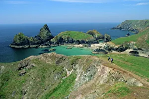 Kynance Cove from the cliffs, south Cornwall, England, UK Kynance Cove from the cliffs, south Cornwall, England, UK