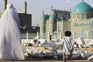Lady in burqa feeding famous white pigeons whilst child chases them, Shrine of Hazrat Ali Lady in burqa feeding famous white pigeons whilst child chases them, Shrine of Hazrat Ali